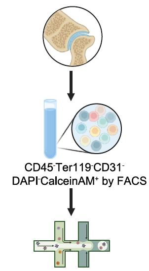 1764574477730275.png 1764574477730275.png